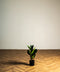 Φίκος Φυτό Τεχνητό Plant 50cm
