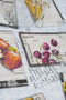 Πετσετάκι με Σχέδιο Φρούτα Recipe Fruits 40x40cm