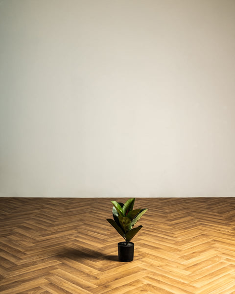 Τεχνητός Φίκος Με Κόκκινο Στημόνα Plant 40cm