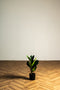 Φίκος Φυτό Τεχνητό Plant 50cm