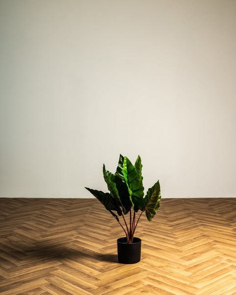 Κολοκασία Τεχνητή Πράσινη Plant 60cm