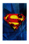 Παιδικό Χαλί Superman Logo Warner Bros σε 2 Διαστάσεις