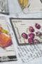 Πετσετάκι με Σχέδιο Φρούτα Recipe Fruits 40x40cm