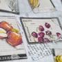 Πετσετάκι με Σχέδιο Φρούτα Recipe Fruits 40x40cm