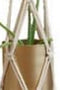 Boho Βαμβακερό Χειροποίητο Macrame Για Γλάστρα Kambi 140cm