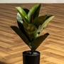 Τεχνητός Φίκος Με Κόκκινο Στημόνα Plant 40cm