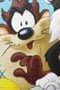 Παιδικό Διακοσμητικό Μαξιλάρι Looney Tunes Des.1 Warner Bros 40x40cm